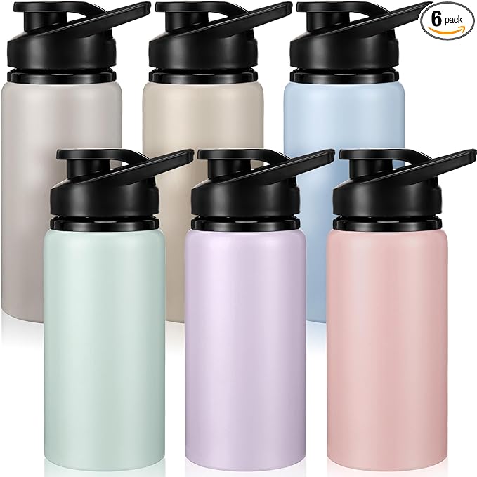 Domensi 6 Pack Aluminum Water Bottle Bulk Reusable Water Bottle, Lightweight Easy Carry Leakproof with Snap Lid Travel Bottles, for Gym Outdoor Sports Cycling Camping Fishing (17oz,Morandi Colors)
