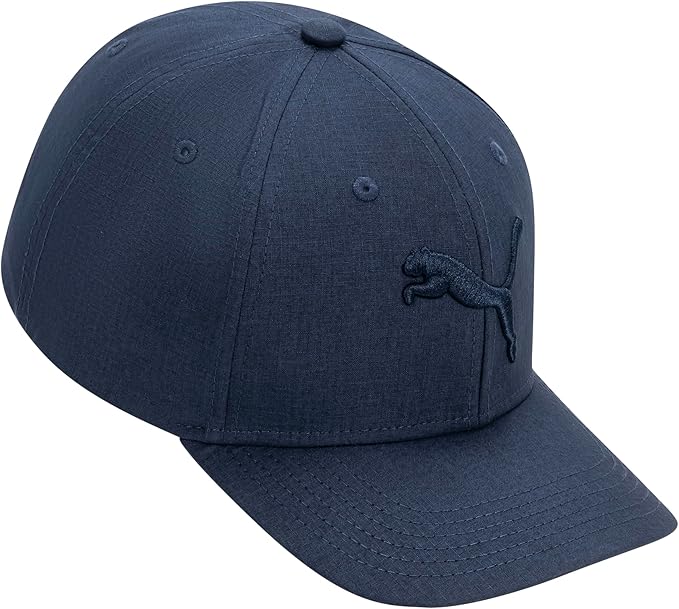 PUMA Men's Evercat Icon Snapback Cap